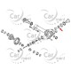 Łożysko mostu przedniego / na atak - Navara D40 Pathfinder R51 - 38140-EA000 - OE